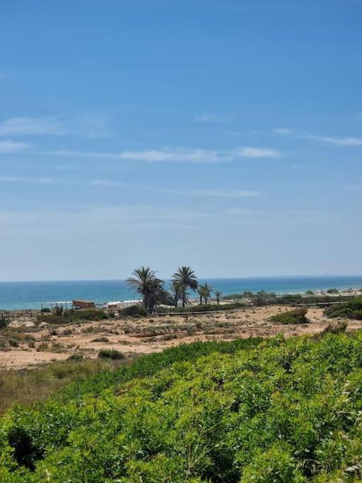 Marbella Sea View Apartament อาเรนาเลส เดล ซอล ภายนอก รูปภาพ
